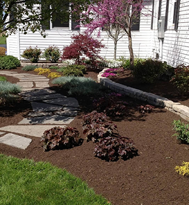 Landscaped area next to house with walkway